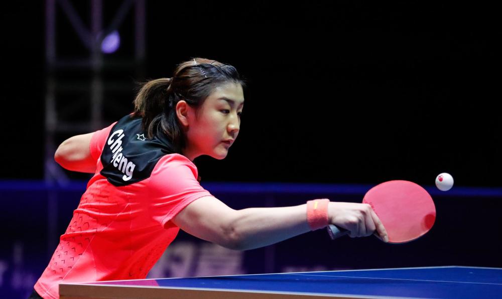 画艺术家参 画艺术家参