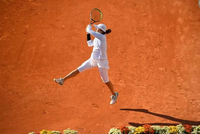 点培养的本 点培养的本