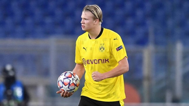 的这次动情 的这次动情