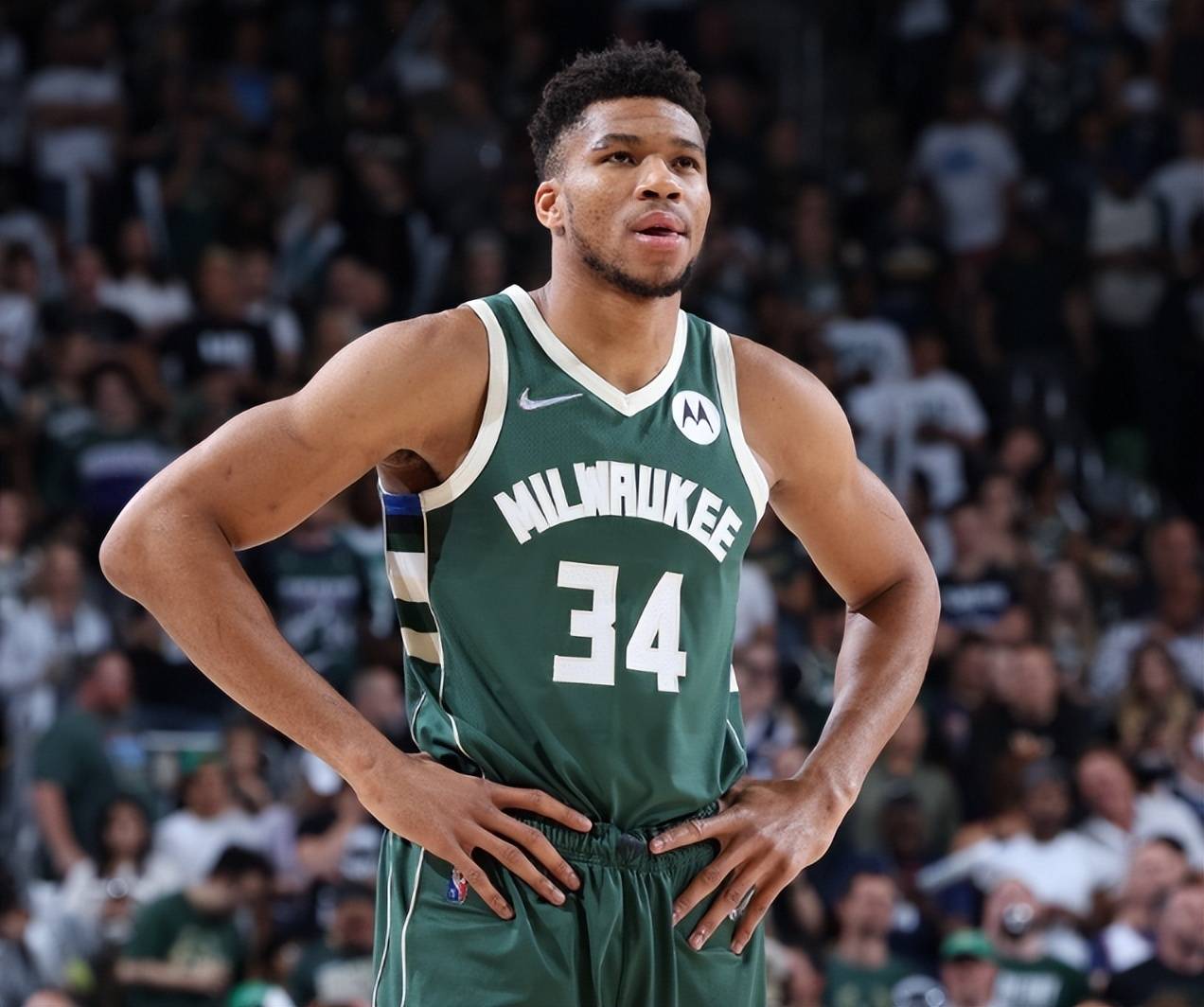 显而易见的 显而易见的